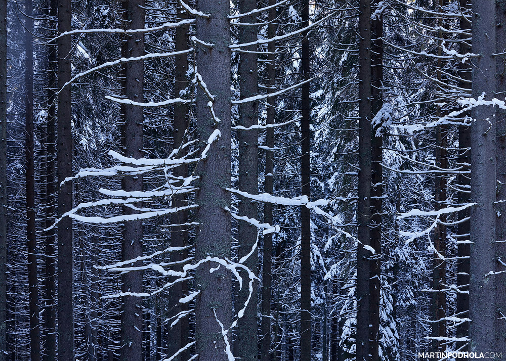 Graphic Of Winter (Czech Republic)